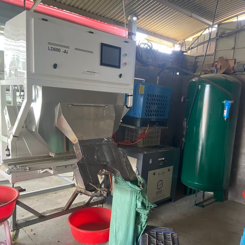 DeepSort Crawler 3T/H - AI-Powered Almond Color Sorter