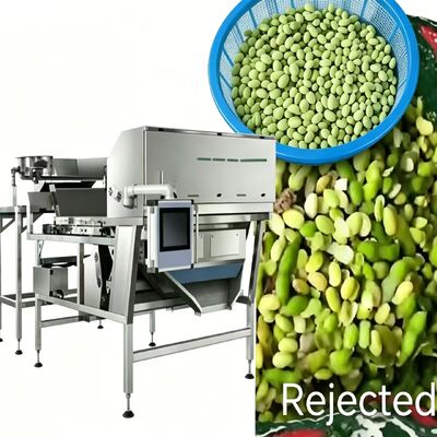 Tipo cintura Sorter di colore edamame congelato - bassa rottura, alta precisione, autoapprendimento.
