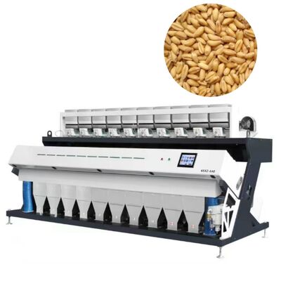 10-Chute 20 T/H High-Resolution Cereal Grain Color Sorter per grano, mais e cereali.