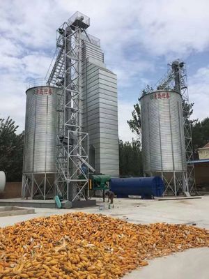300T per essiccatore misto di flusso del mais continuo di giorno