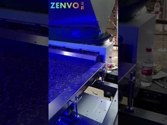 Sortitore a colori di minerale di tipo pista con una capacità di 3-7 tonnellate all'ora.