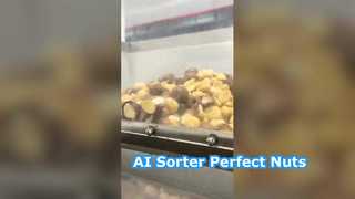 Selezionatrice a colori Smart Macadamia Ai Deep Learning, 128 canali.