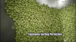Selezionatore di colori a nastro per fagioli Edamame congelati