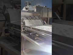 Selezionatrice colorata di anacardi a nastro a doppio strato.
