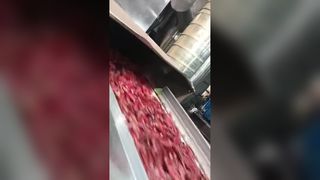 Due selezionatori di colore del peperoncino tracciati