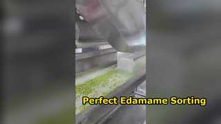 Selezionatore di colori Edamame da 120 tipi cingolati