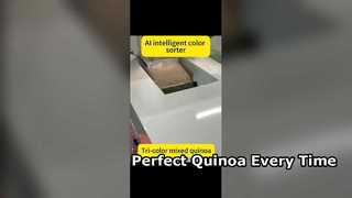 Selezionatore di colori ad alta efficienza per quinoa premium