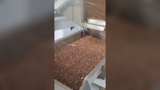 Selezionatrice del colore dei semi di ravanello