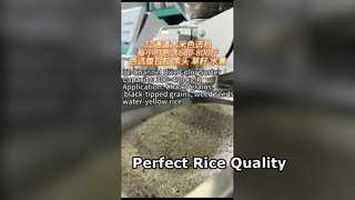 Selezionatore di colori del riso a 32 canali per riserie di piccole e medie dimensioni.