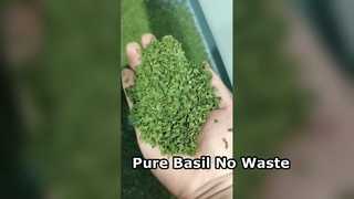 Selezionatore di colori a nastro AI per Basil